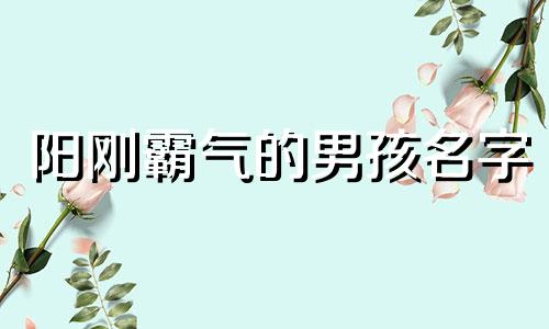 阳刚霸气的男孩名字 大气格局大男孩起名