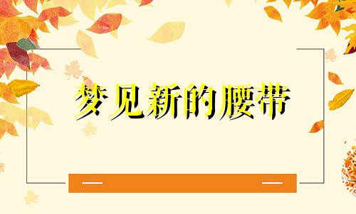 梦见新的腰带 梦见腰带坏了买了新腰带