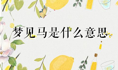 梦见马是什么意思 梦见马队