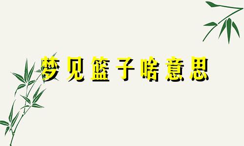 梦见篮子啥意思 梦见篮子里有白菜