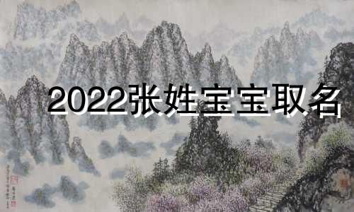 2022张姓宝宝取名 2022年出生的张姓宝宝