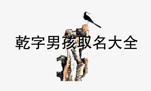 乾字男孩取名大全 乾字取名字男孩