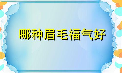 哪种眉毛福气好 什么眉毛的人是好命？