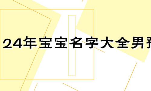 24年宝宝名字大全男孩 24岁的名字