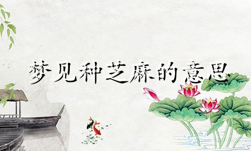 梦见种芝麻的意思