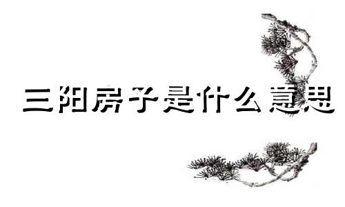 三阳房子是什么意思 三阳房  把边房是什么意思？