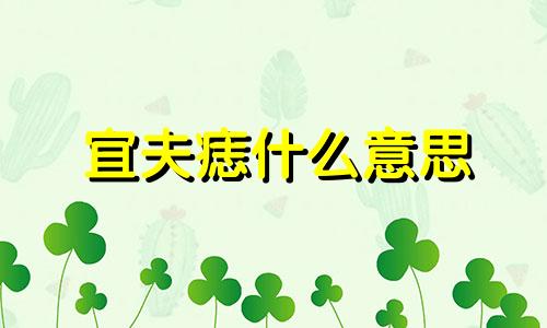 宜夫痣什么意思 宜夫痣什么意思