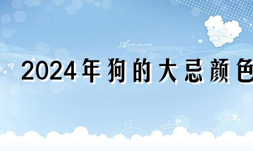 2024年狗的大忌颜色 2024年属狗人的命运