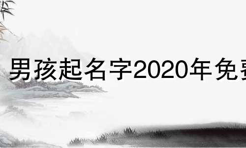 男孩起名字2020年免费 男孩名字2022年名字大全免费