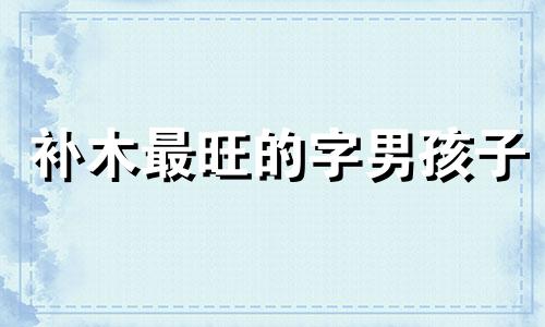 补木最旺的字男孩子 五行补木的男孩的字